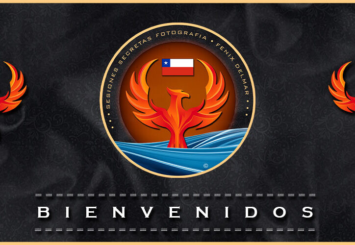 ssf-blog-bienvenidos