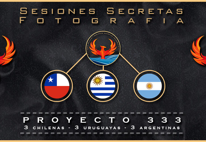 ssf-blog-proyecto-333-v3